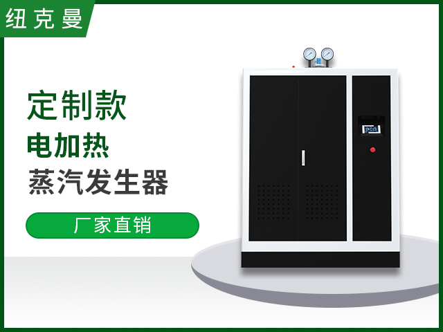定制電加熱蒸汽發(fā)生器