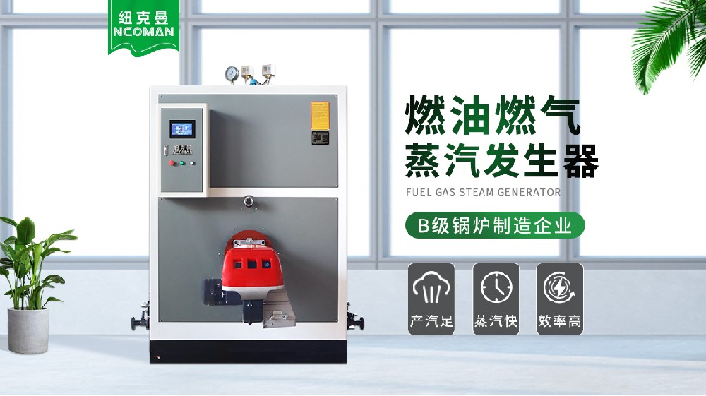 1噸生物質(zhì)蒸汽發(fā)生器，高效環(huán)保讓企業(yè)驚喜連連！ 