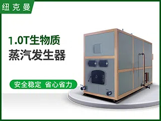 1.0T生物質(zhì)蒸汽發(fā)生器